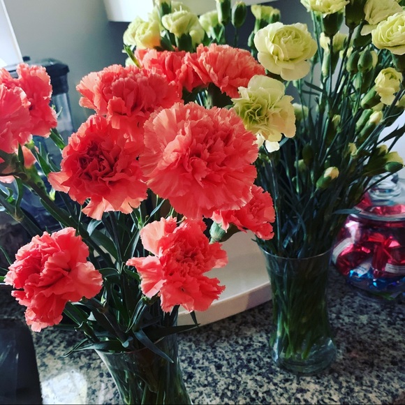 Meet your Posher, Nicole - Picture 1 of 1